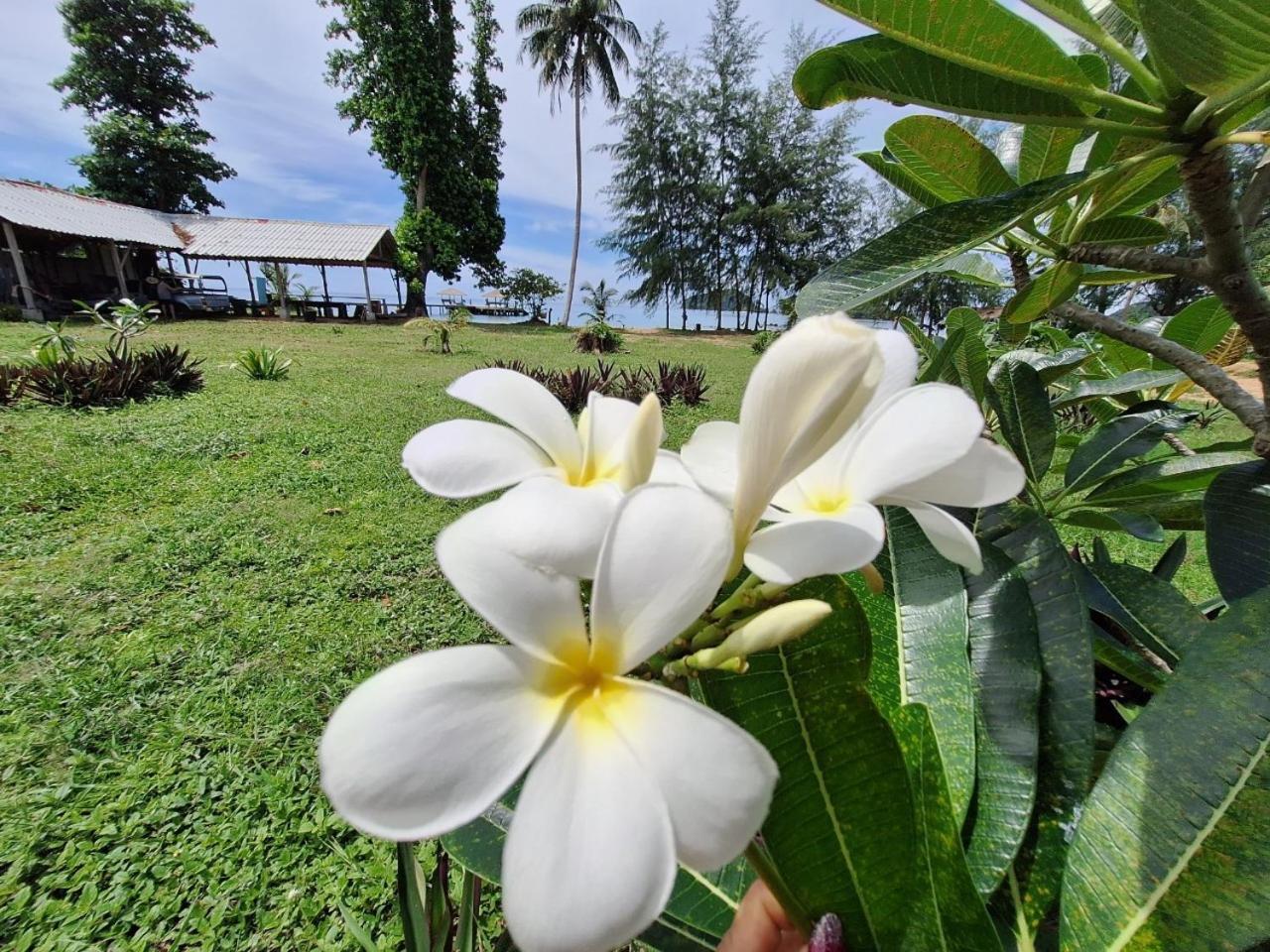 Miss You Beach Resort Koh Mak Esterno foto